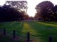 Nerang QLD 4211
