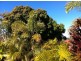 Tallebudgera QLD 4228