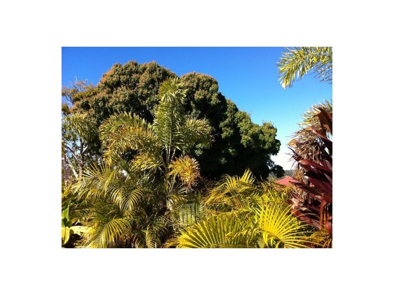 Tallebudgera QLD 4228