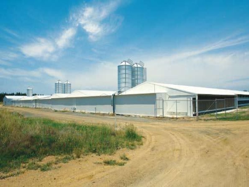Ipswich QLD 4305