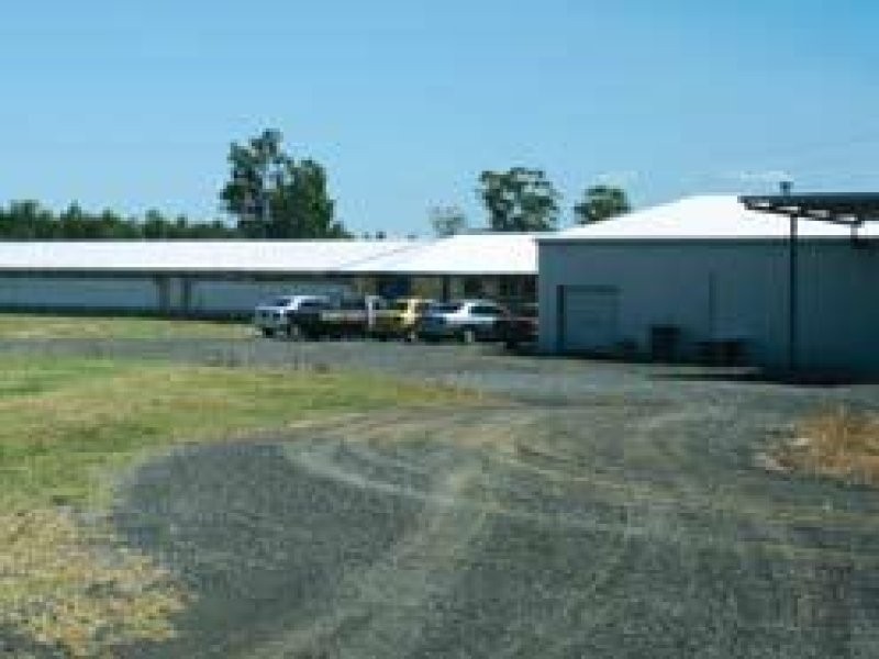 Ipswich QLD 4305