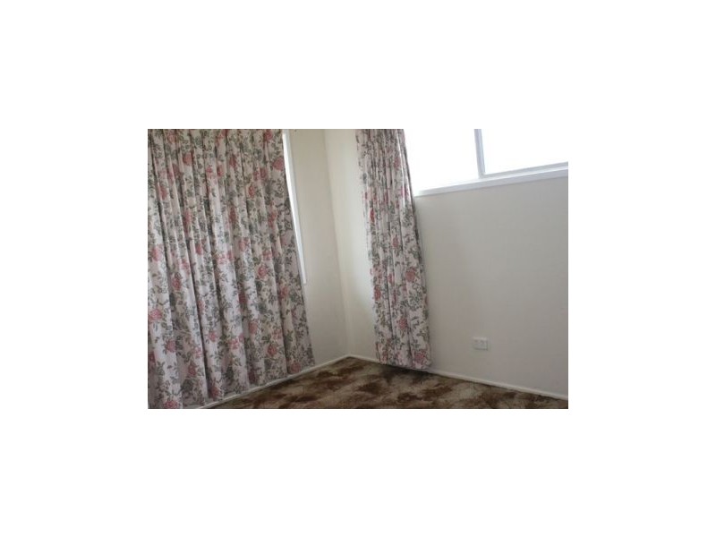 1034 Gold Coast Highway, Palm Beach QLD 4221