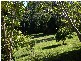 33a Atkinson Road, Bli Bli QLD 4560