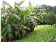 33a Atkinson Road, Bli Bli QLD 4560