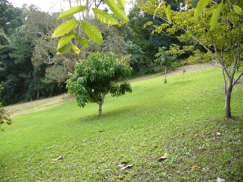 33a Atkinson Road, Bli Bli QLD 4560