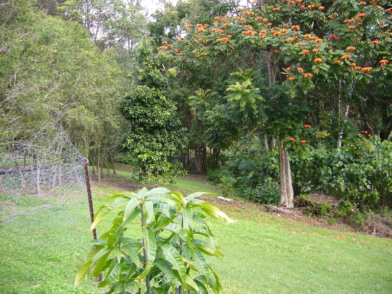 33a Atkinson Road, Bli Bli QLD 4560