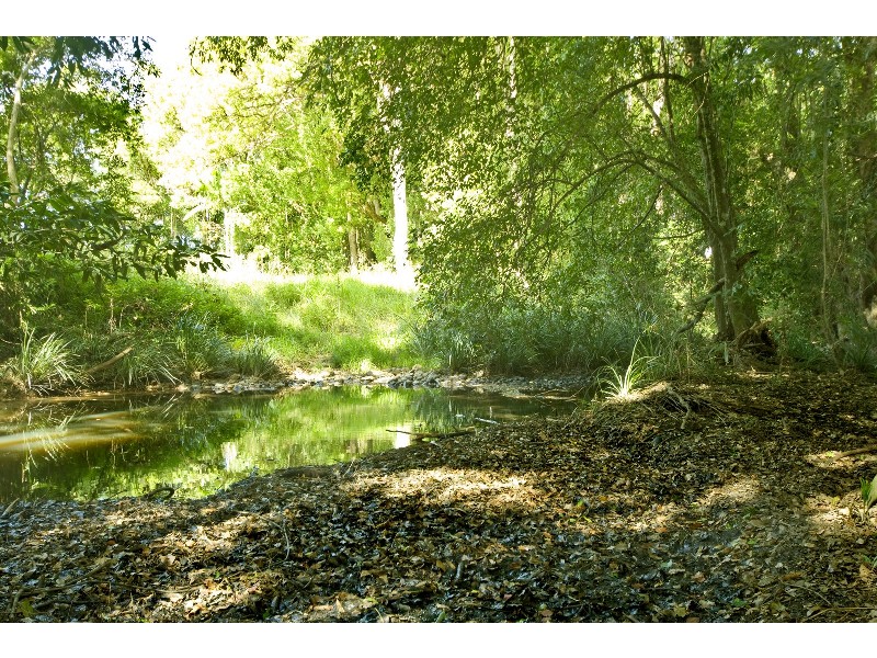 131 Lees Road, BRIDGES, Yandina QLD 4561