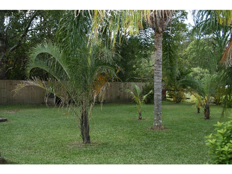 267 Glenview Road, Glenview QLD 4553