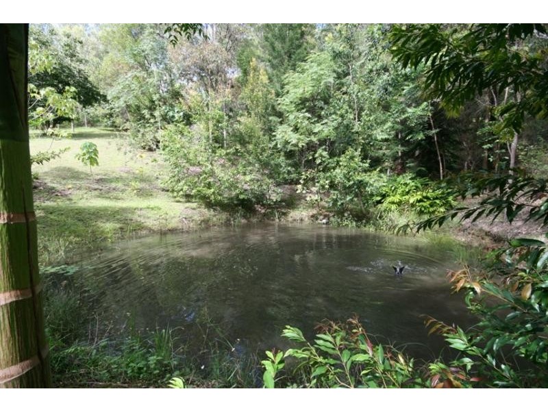 165 Mossy Bank Rd, Eudlo QLD 4554