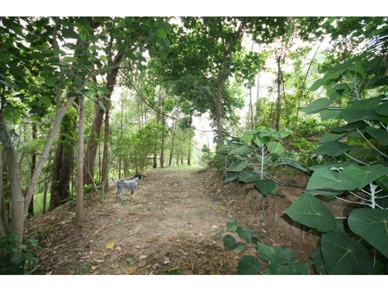 165 Mossy Bank Rd, Eudlo QLD 4554