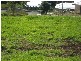 Maleny QLD 4552