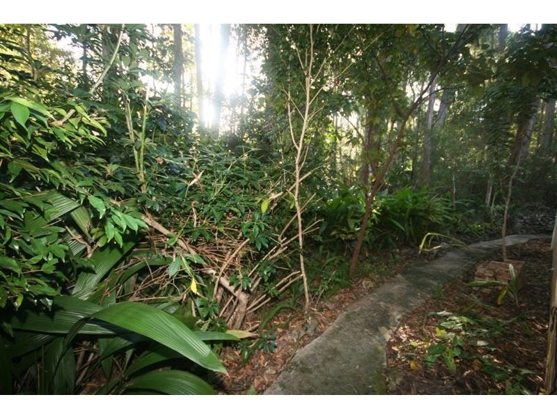 17 Gumleaf Cl, Doonan QLD 4562