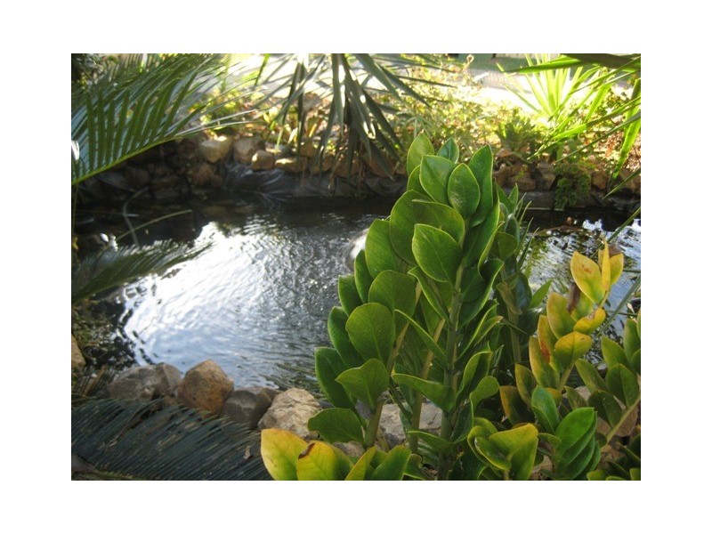 20 TWIN PEAKS DR, Beerwah QLD 4519