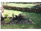 23 Hummingbird Tc, Coolum Beach QLD 4573