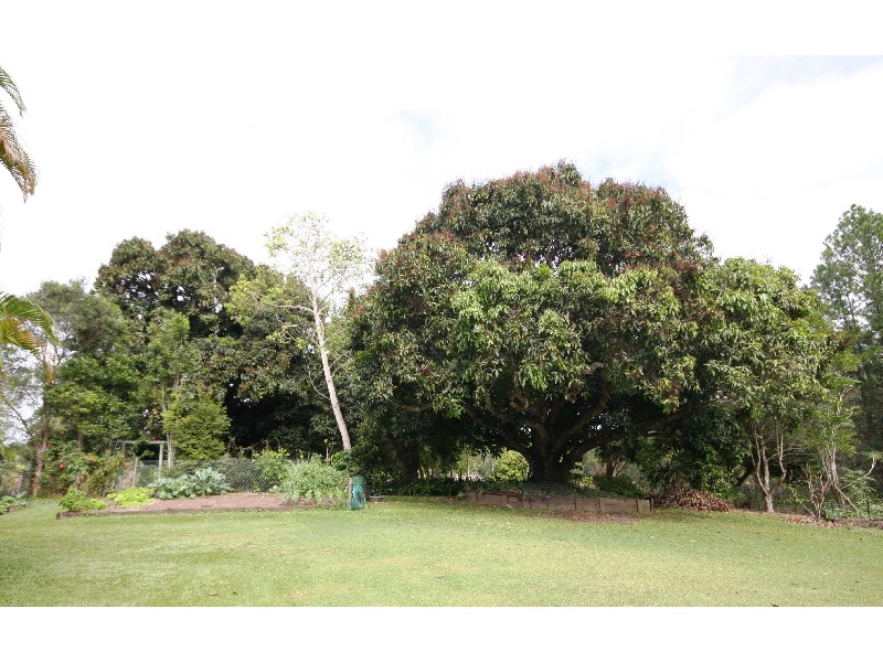 14 Ilkley Road, Eudlo QLD 4554