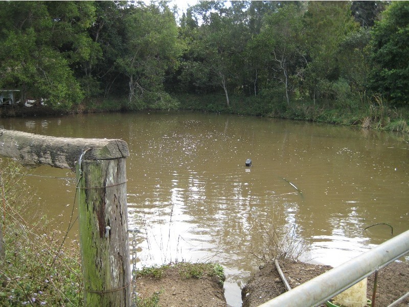 302 DULONG RD, Dulong QLD 4560