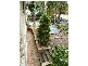 7 Sunshine Court, Maroochydore QLD 4558