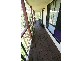 Coach House Place, Mooloolah Valley QLD 4553