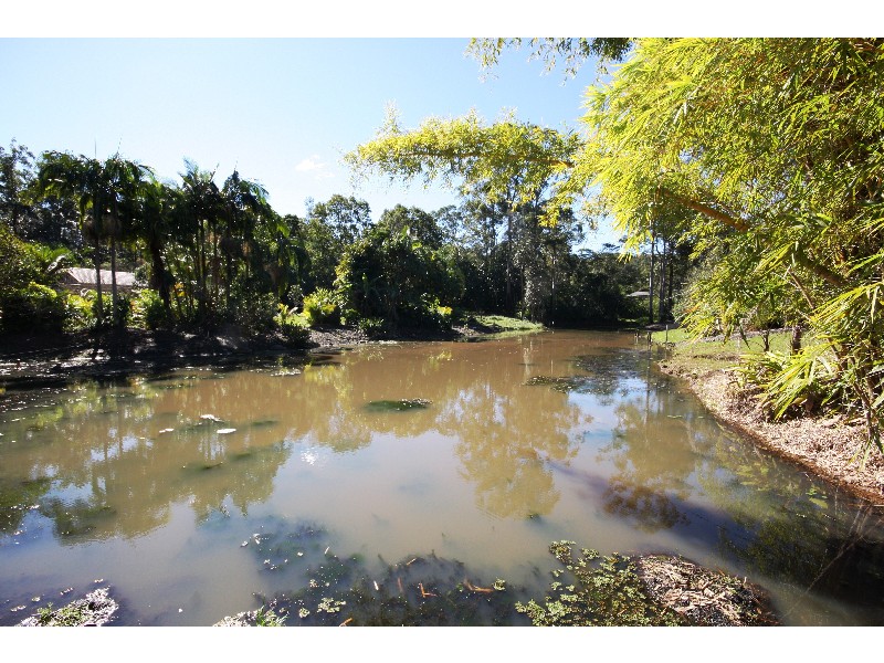 6 Sawreys Road, Forest Glen QLD 4556