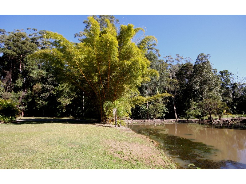 6 Sawreys Road, Forest Glen QLD 4556