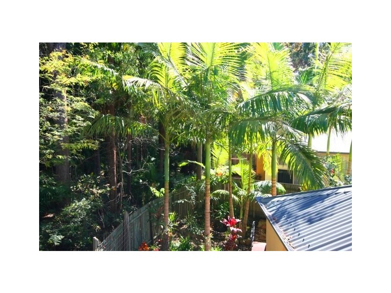 69/1 Poinsettia Crt, Mooloolaba QLD 4557