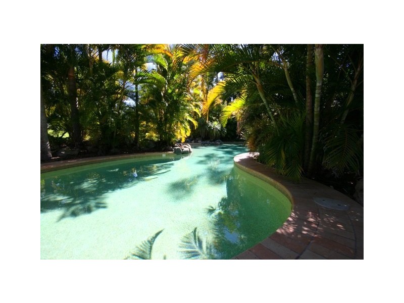 69/1 Poinsettia Crt, Mooloolaba QLD 4557