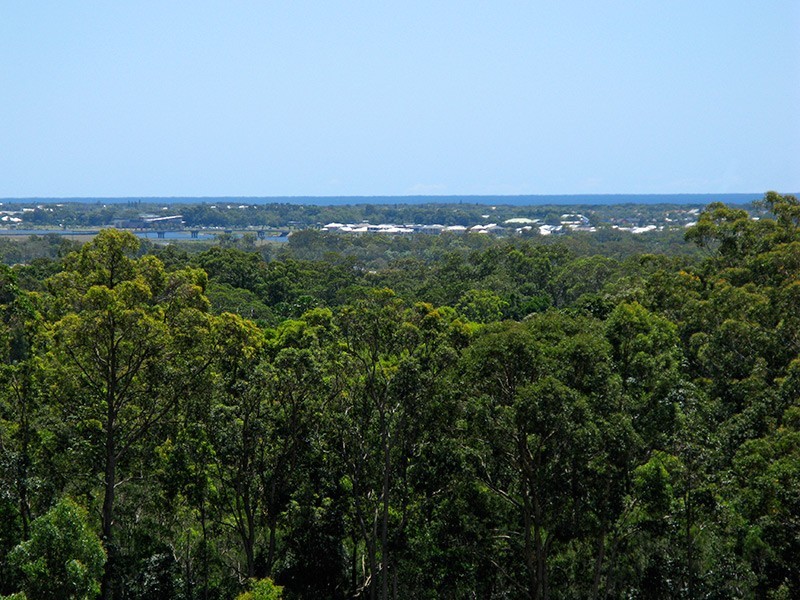 62 Gallery Pl, Caloundra QLD 4551