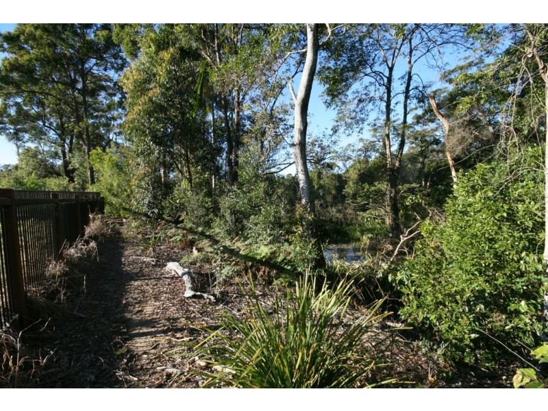 19 Atherton Close, Buderim QLD 4556