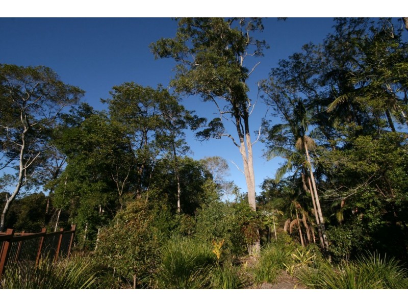 19 Atherton Close, Buderim QLD 4556