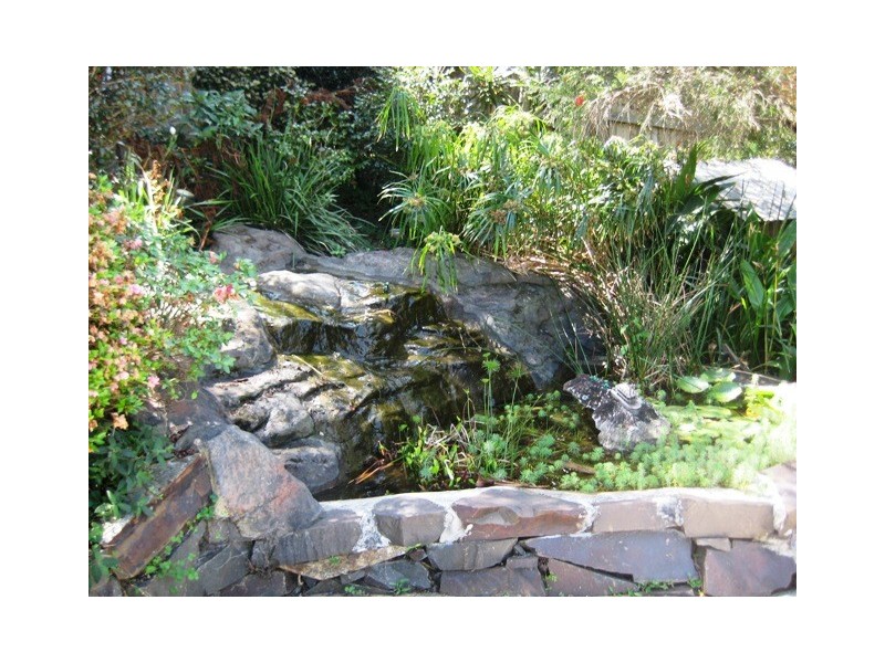 6 BOONABAH PL, Little Mountain QLD 4551