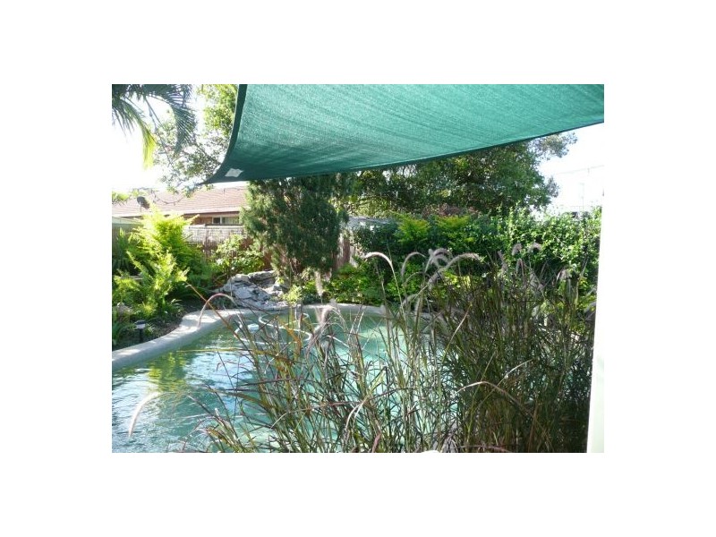 6 Chelsea cr, Minyama QLD 4575