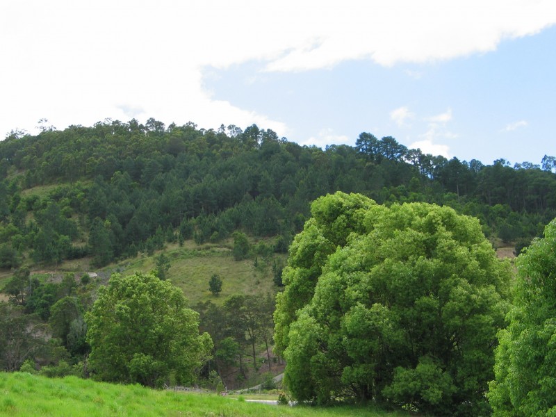 LOT 10 BELVEDERE, Maroochy River QLD 4561