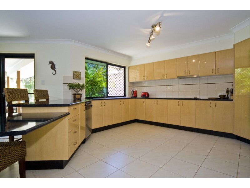 19 Petrale Court, Mountain Creek QLD 4557
