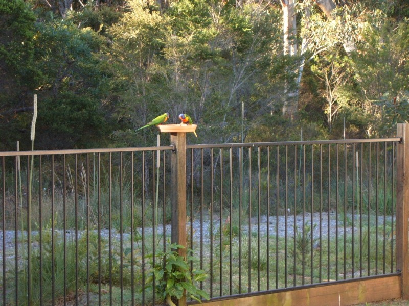 19 Petrale Court, Mountain Creek QLD 4557