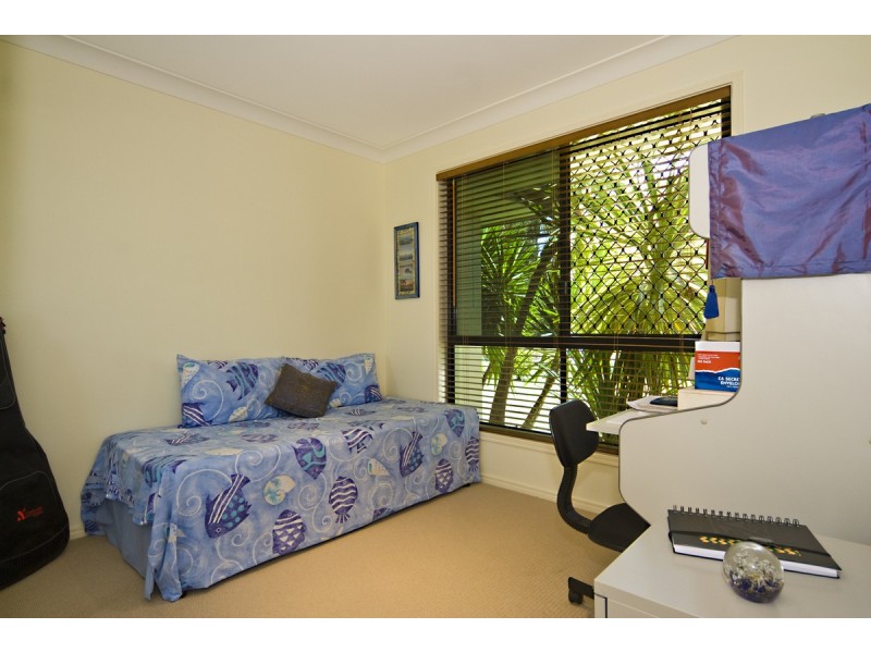 19 Petrale Court, Mountain Creek QLD 4557