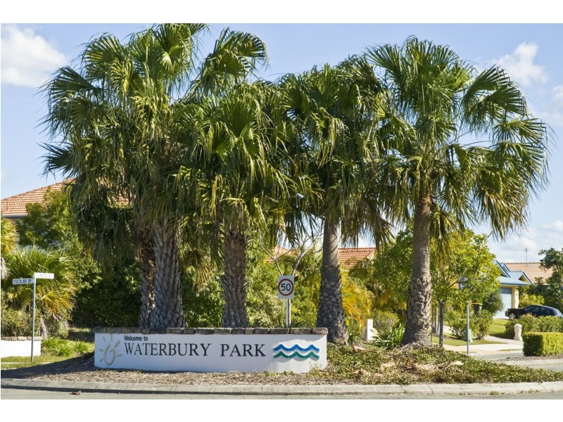 19 Petrale Court, Mountain Creek QLD 4557