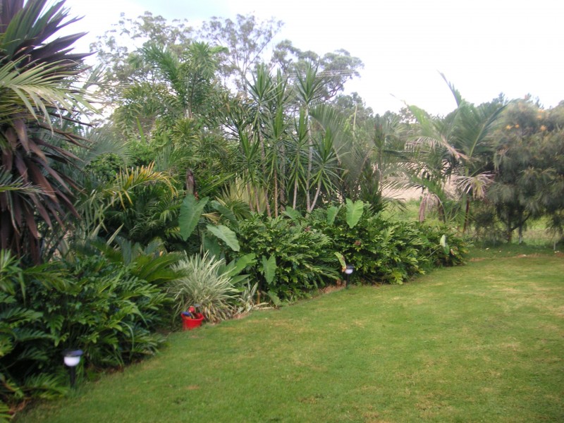 11 Winston Ct, Landsborough QLD 4550