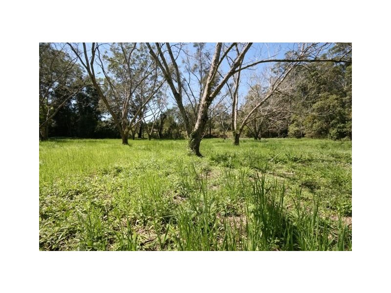 140 Lower Landershute Road, Palmwoods QLD 4555