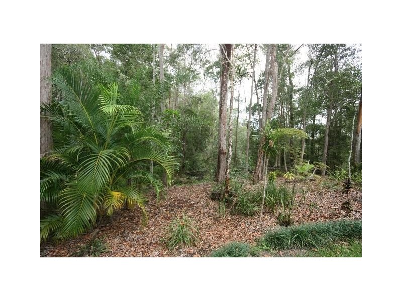 1 Gumleaf Cl, Doonan QLD 4562