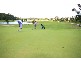 8 FAIRWAY PDE, Peregian Springs QLD 4573