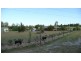 Beerwah QLD 4519