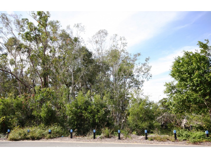119 Albany St, Sippy Downs QLD 4556