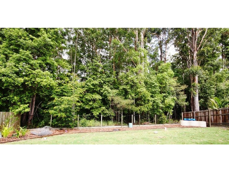 7 Yellow Cedar Place, Palmwoods QLD 4555