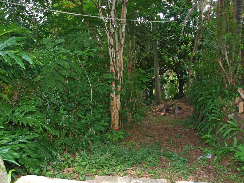 5 MERVAL  CRT, Buderim QLD 4556