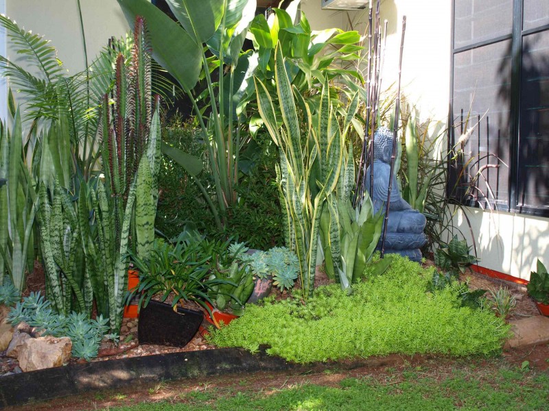 8 PRIEBE ST, Buderim QLD 4556