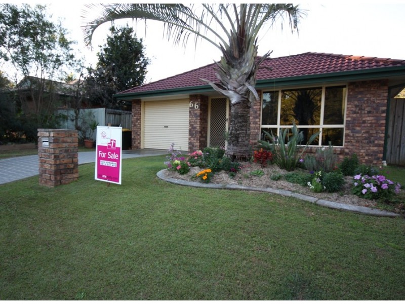 66 Dunning, Palmwoods QLD 4555