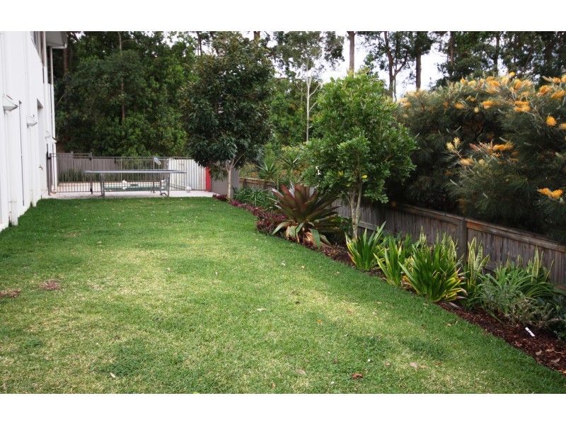 26 Tribulation Cct, Buderim QLD 4556