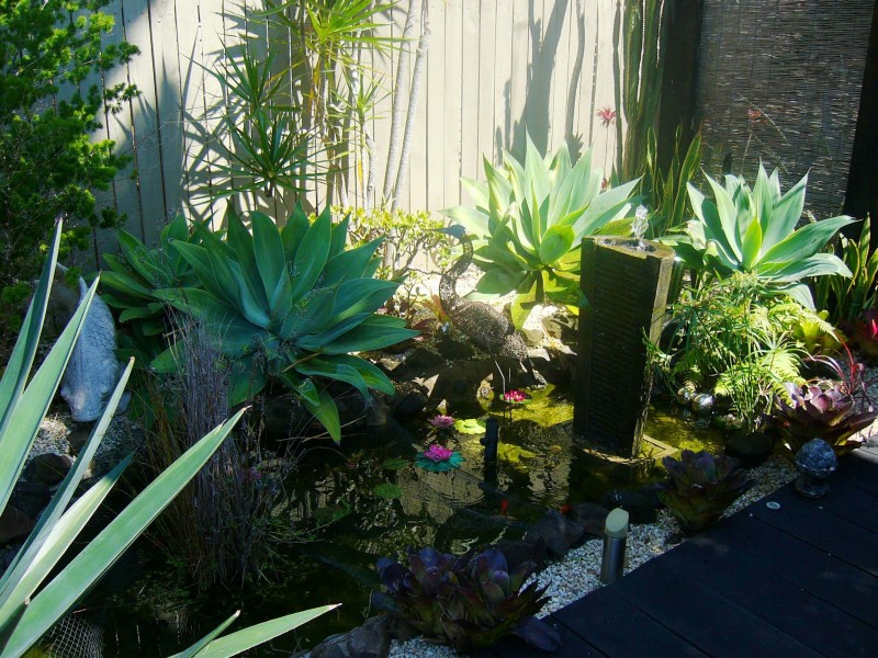 U1-46  LAWRENCE, Mooloolaba QLD 4557