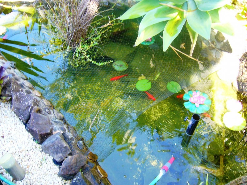 U1-46  LAWRENCE, Mooloolaba QLD 4557