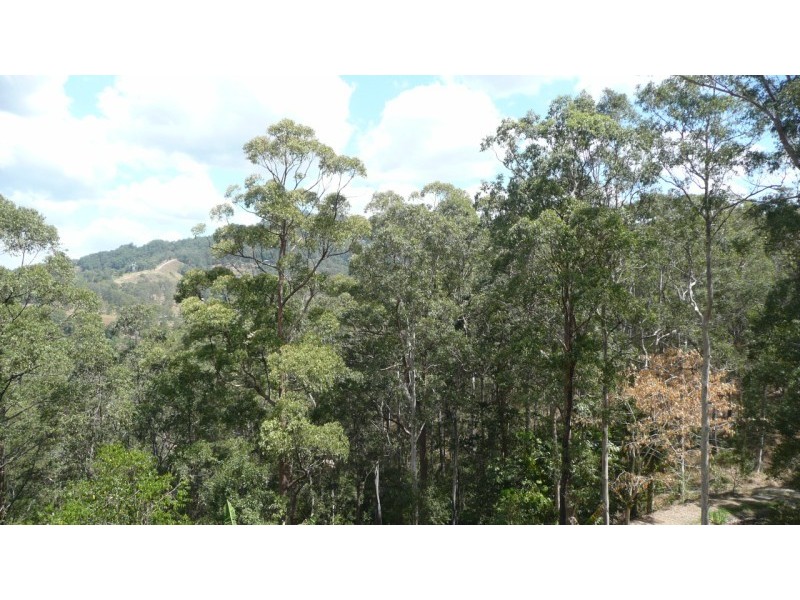 330 Hunchy Rd, Palmwoods QLD 4555